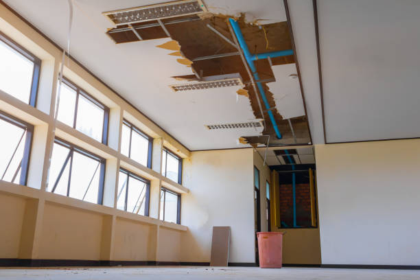 Best Residential water damage restoration  in Little Canada, MN