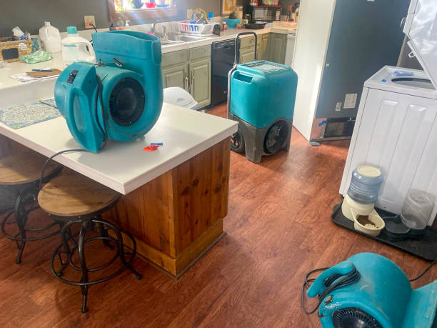 Best Professional water damage repair  in Little Canada, MN