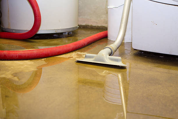 Best Flood restoration services  in Little Canada, MN