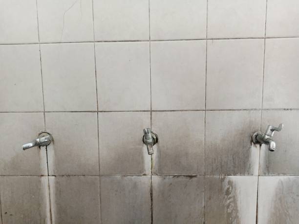  Little Canada, MN Water damage restoration Pros