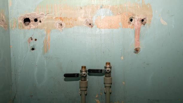 Best Ceiling water damage repair  in Little Canada, MN