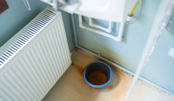 Best Professional water damage repair  in Little Canada, MN