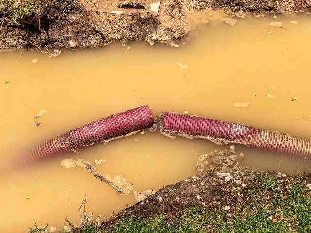 Best Emergency water damage restoration  in Little Canada, MN