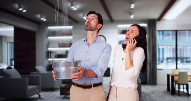Best Water damage restoration near me  in Little Canada, MN