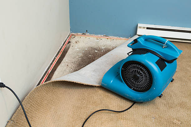 Best 24-hour water damage restoration  in Little Canada, MN