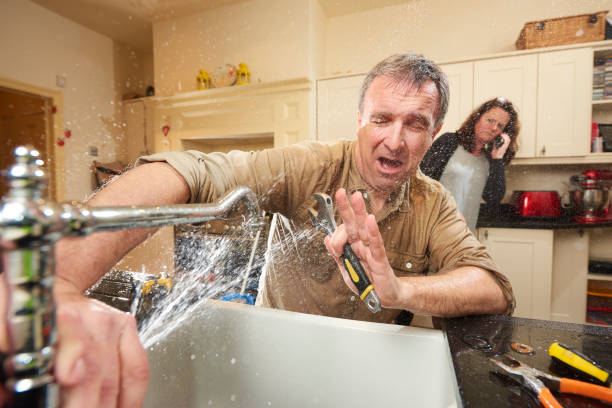 Best Flood damage cleanup  in Little Canada, MN
